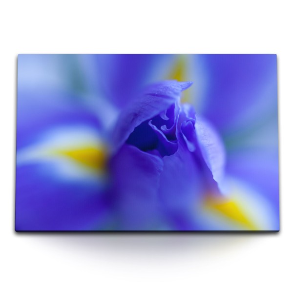 Paul Sinus Art 120x80cm Wandbild auf Leinwand Blaue Blume Blüte Makrofotografie Fotokunst
