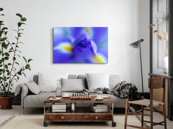 Paul Sinus Art 120x80cm Wandbild auf Leinwand Blaue Blume Blüte Makrofotografie Fotokunst Versandkostenfrei