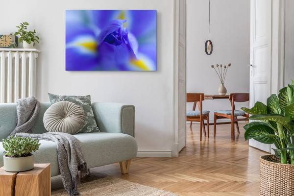 Paul Sinus Art 120x80cm Wandbild auf Leinwand Blaue Blume Blüte Makrofotografie Fotokunst Versandkostenfrei