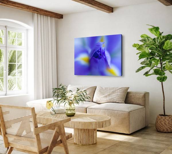 Paul Sinus Art 120x80cm Wandbild auf Leinwand Blaue Blume Blüte Makrofotografie Fotokunst Versandkostenfrei