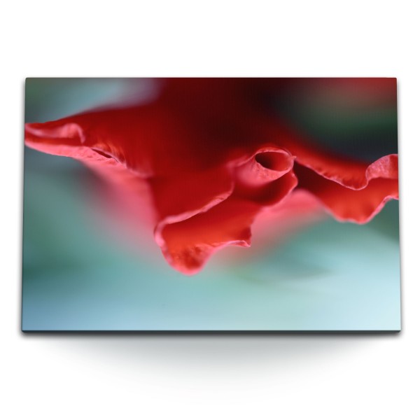 Paul Sinus Art 120x80cm Wandbild auf Leinwand Rote Blume Blüte Makrofotografie Kunstvoll