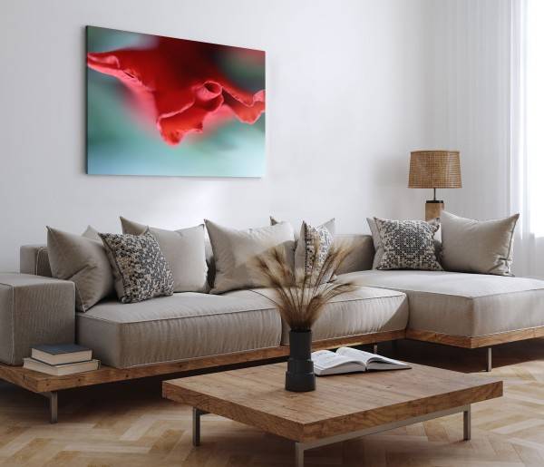 Paul Sinus Art 120x80cm Wandbild auf Leinwand Rote Blume Blüte Makrofotografie Kunstvoll Großer Ausverkauf