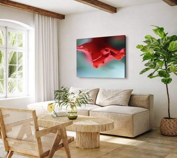 Paul Sinus Art 120x80cm Wandbild auf Leinwand Rote Blume Blüte Makrofotografie Kunstvoll Großer Ausverkauf