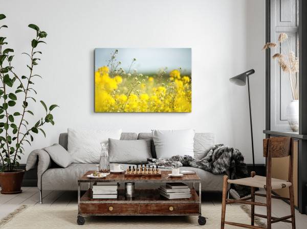 Paul Sinus Art 120x80cm Wandbild auf Leinwand Rapsfeld Gelb Feld Natur Sonnenschein Flash Sale