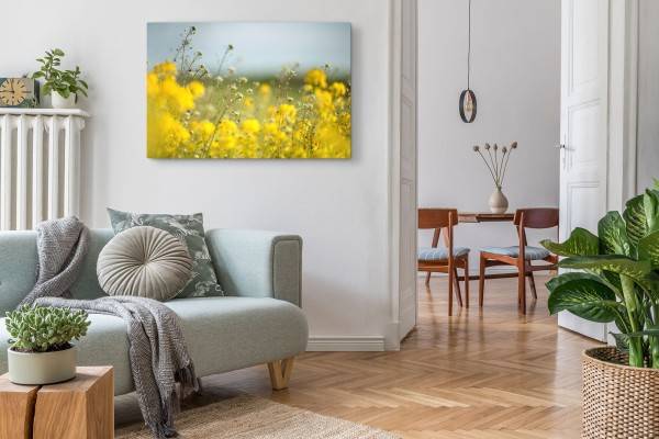 Paul Sinus Art 120x80cm Wandbild auf Leinwand Rapsfeld Gelb Feld Natur Sonnenschein Flash Sale