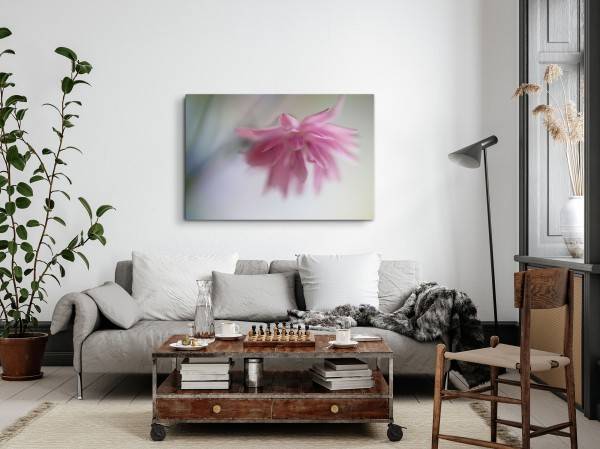 Paul Sinus Art 120x80cm Wandbild auf Leinwand Rosa Blume Blüte Fotokunst Natur Begrenztes Angebot