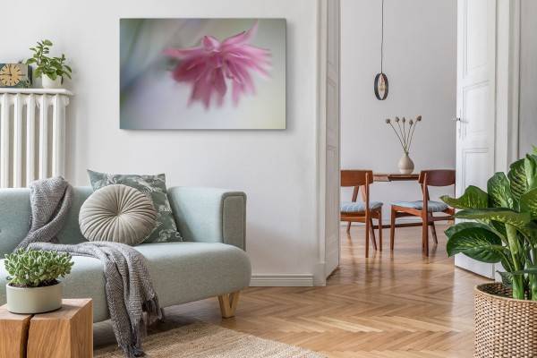 Paul Sinus Art 120x80cm Wandbild auf Leinwand Rosa Blume Blüte Fotokunst Natur Begrenztes Angebot