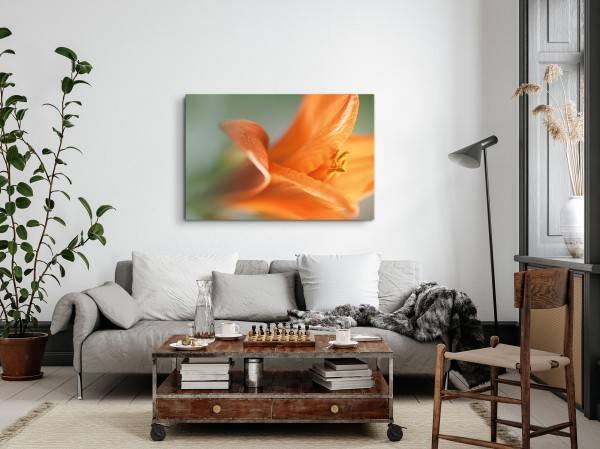Paul Sinus Art 120x80cm Wandbild auf Leinwand Orange Lilie Blüte Blume Makrofotografie Kunstvoll Online Shopping