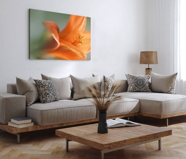 Paul Sinus Art 120x80cm Wandbild auf Leinwand Orange Lilie Blüte Blume Makrofotografie Kunstvoll Online Shopping