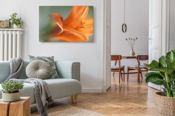 Paul Sinus Art 120x80cm Wandbild auf Leinwand Orange Lilie Blüte Blume Makrofotografie Kunstvoll Online Shopping