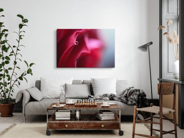 Paul Sinus Art 120x80cm Wandbild auf Leinwand Rote Blüte Rose Makrofotografie Rot Wassertropfen Exklusivangebot