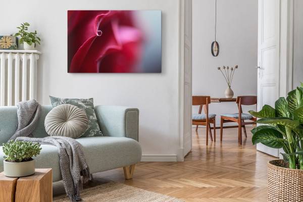 Paul Sinus Art 120x80cm Wandbild auf Leinwand Rote Blüte Rose Makrofotografie Rot Wassertropfen Exklusivangebot