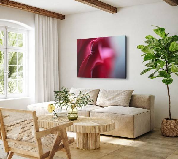 Paul Sinus Art 120x80cm Wandbild auf Leinwand Rote Blüte Rose Makrofotografie Rot Wassertropfen Exklusivangebot