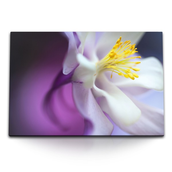 Paul Sinus Art 120x80cm Wandbild auf Leinwand Orchidee Nahaufnahme Blume Blüte Kunstvoll