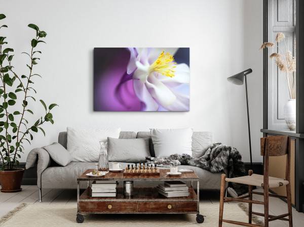 Paul Sinus Art 120x80cm Wandbild auf Leinwand Orchidee Nahaufnahme Blume Blüte Kunstvoll Preisnachlass
