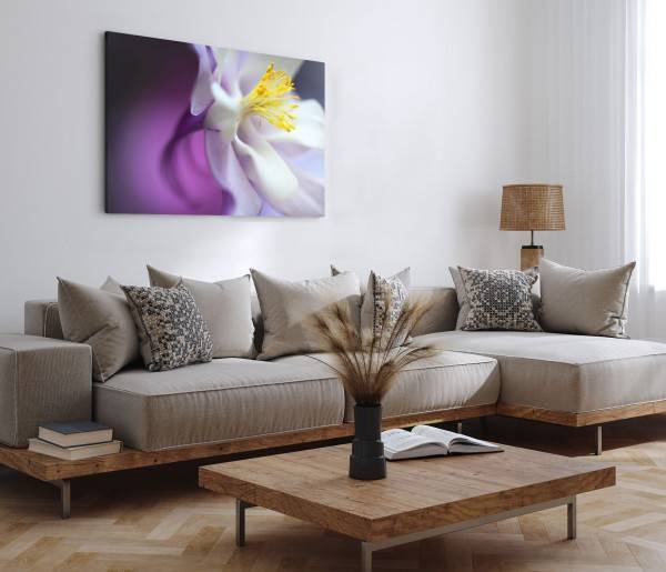 Paul Sinus Art 120x80cm Wandbild auf Leinwand Orchidee Nahaufnahme Blume Blüte Kunstvoll Preisnachlass