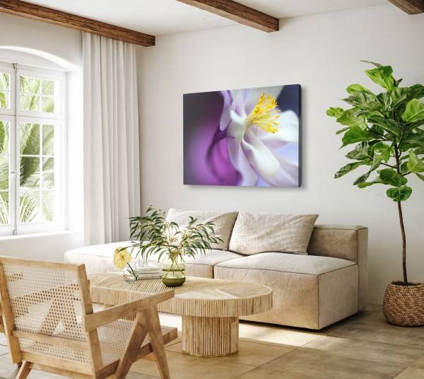 Paul Sinus Art 120x80cm Wandbild auf Leinwand Orchidee Nahaufnahme Blume Blüte Kunstvoll Preisnachlass