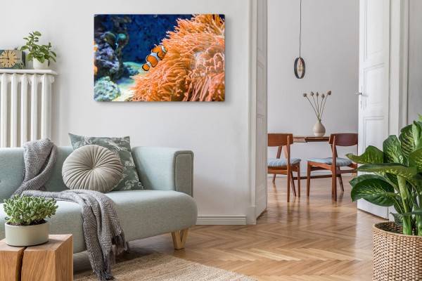 Paul Sinus Art 120x80cm Wandbild auf Leinwand Clownfische Bunte Fische Korallenriff unter Wasser Black Friday