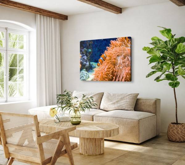 Paul Sinus Art 120x80cm Wandbild auf Leinwand Clownfische Bunte Fische Korallenriff unter Wasser Black Friday