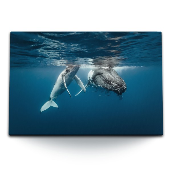 Paul Sinus Art 120x80cm Wandbild auf Leinwand Grauwal Mutter mit Kind Blau unter Wasser Ozean
