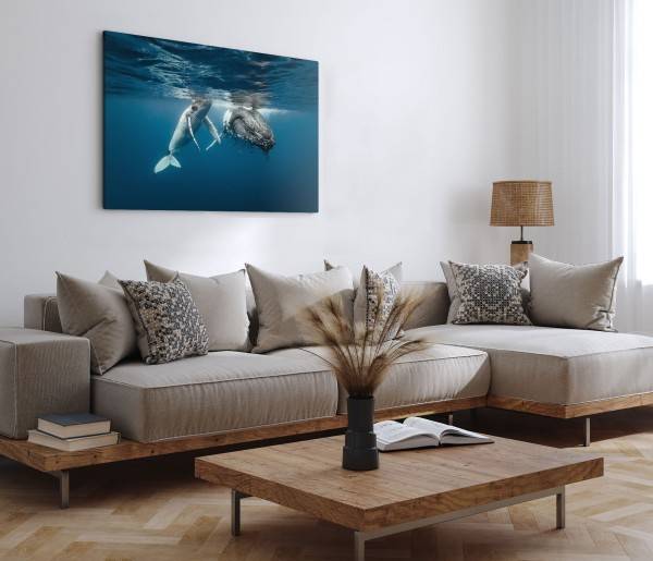 Paul Sinus Art 120x80cm Wandbild auf Leinwand Grauwal Mutter mit Kind Blau unter Wasser Ozean Cyber Monday