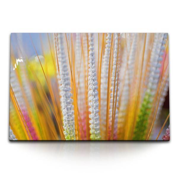 Paul Sinus Art 120x80cm Wandbild auf Leinwand Pflanze Feld Natur Gelb Sommer Sonnenschein