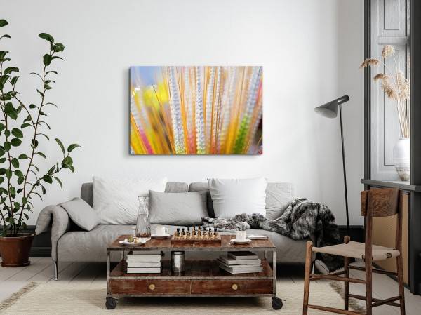 Paul Sinus Art 120x80cm Wandbild auf Leinwand Pflanze Feld Natur Gelb Sommer Sonnenschein Osterangebot