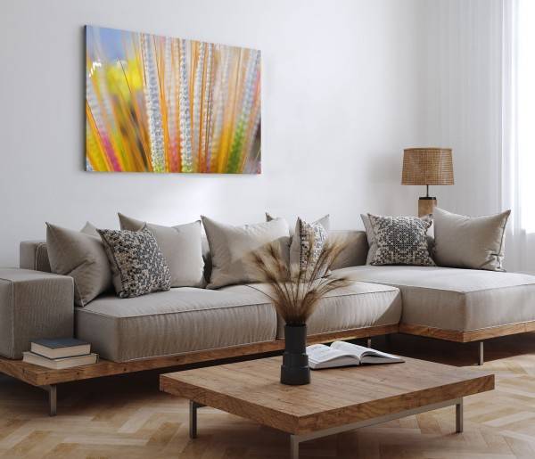 Paul Sinus Art 120x80cm Wandbild auf Leinwand Pflanze Feld Natur Gelb Sommer Sonnenschein Osterangebot