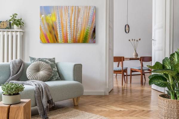 Paul Sinus Art 120x80cm Wandbild auf Leinwand Pflanze Feld Natur Gelb Sommer Sonnenschein Osterangebot