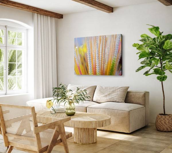 Paul Sinus Art 120x80cm Wandbild auf Leinwand Pflanze Feld Natur Gelb Sommer Sonnenschein Osterangebot