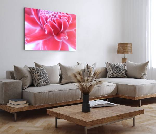 Paul Sinus Art 120x80cm Wandbild auf Leinwand Rosa Blume Blüte Sommer Nahaufnahme Fotokunst Valentinstagsangebot