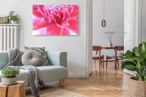 Paul Sinus Art 120x80cm Wandbild auf Leinwand Rosa Blume Blüte Sommer Nahaufnahme Fotokunst Valentinstagsangebot