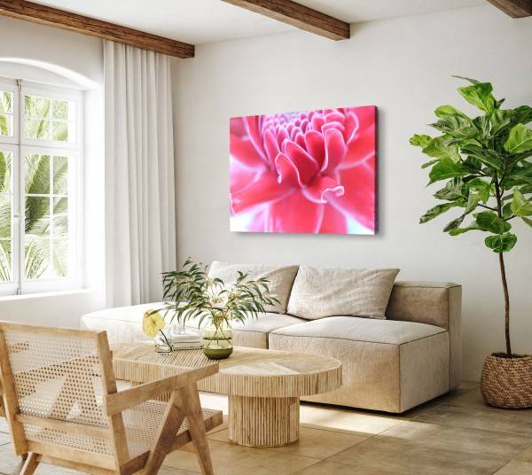 Paul Sinus Art 120x80cm Wandbild auf Leinwand Rosa Blume Blüte Sommer Nahaufnahme Fotokunst Valentinstagsangebot