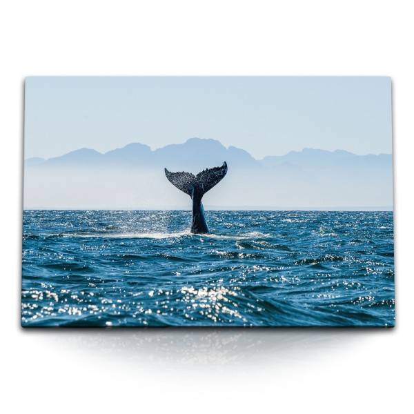 Paul Sinus Art 120x80cm Wandbild auf Leinwand Walflosse Wal Meer Ozean Blau Grauwal