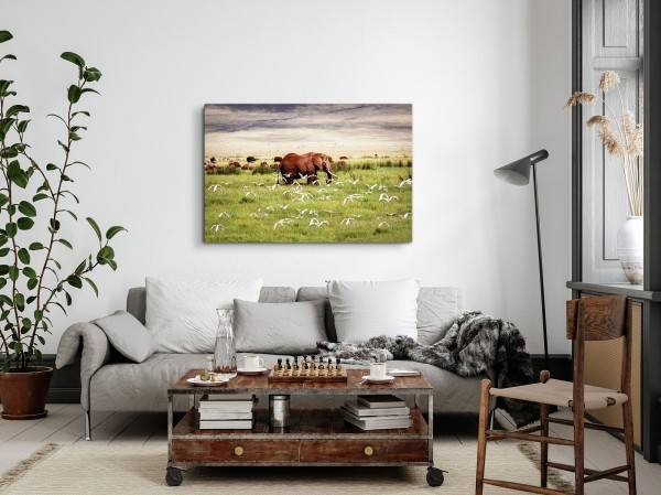 Paul Sinus Art 120x80cm Wandbild auf Leinwand Afrikanische Landschaft Elefant Tiere Tierfotografie Heißer Verkauf