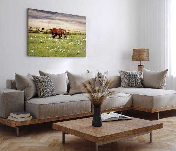 Paul Sinus Art 120x80cm Wandbild auf Leinwand Afrikanische Landschaft Elefant Tiere Tierfotografie Heißer Verkauf