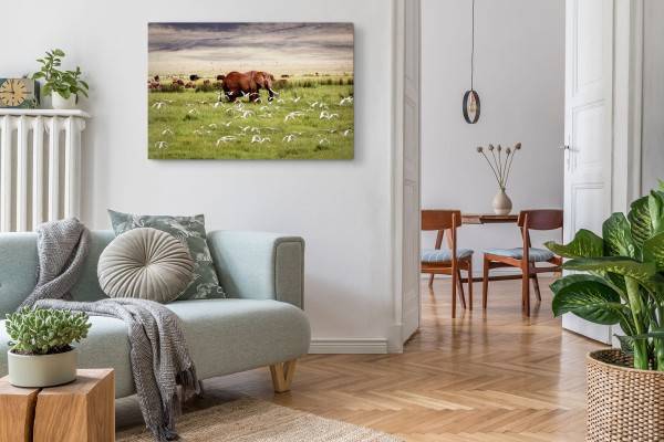 Paul Sinus Art 120x80cm Wandbild auf Leinwand Afrikanische Landschaft Elefant Tiere Tierfotografie Heißer Verkauf