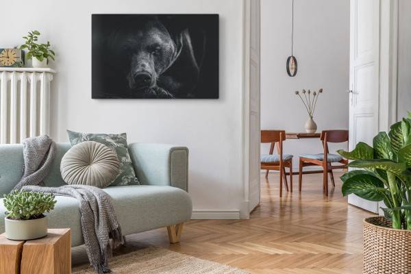 Paul Sinus Art 120x80cm Wandbild auf Leinwand Bär Braunbär Schwarz Tierfotografie Kunstvoll Neueste Mode