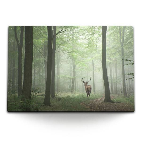 Paul Sinus Art 120x80cm Wandbild auf Leinwand Hirsch im Wald Natur Bäume Tierfotografie