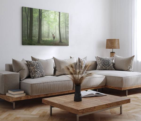 Paul Sinus Art 120x80cm Wandbild auf Leinwand Hirsch im Wald Natur Bäume Tierfotografie Zeitlich begrenztes Angebot