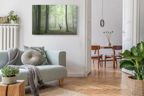 Paul Sinus Art 120x80cm Wandbild auf Leinwand Hirsch im Wald Natur Bäume Tierfotografie Zeitlich begrenztes Angebot