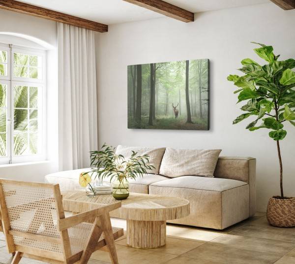 Paul Sinus Art 120x80cm Wandbild auf Leinwand Hirsch im Wald Natur Bäume Tierfotografie Zeitlich begrenztes Angebot