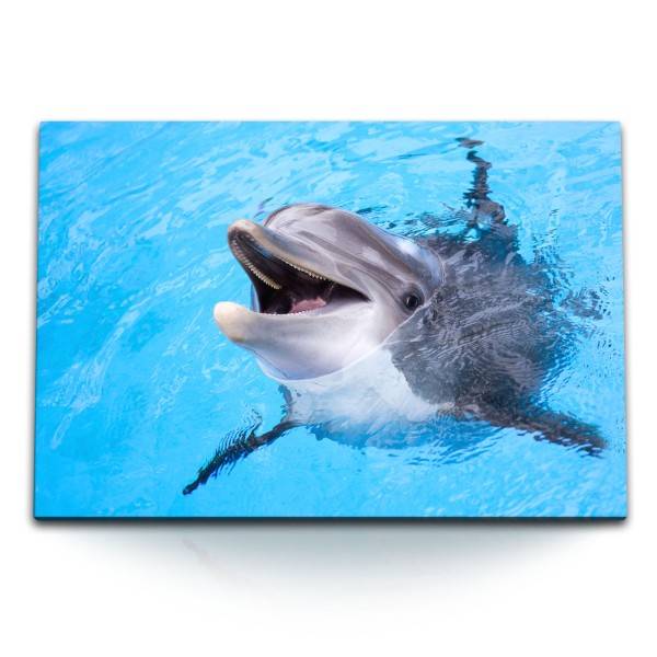 Paul Sinus Art 120x80cm Wandbild auf Leinwand Delfin Tierfotografie Blau Hellblau Meer