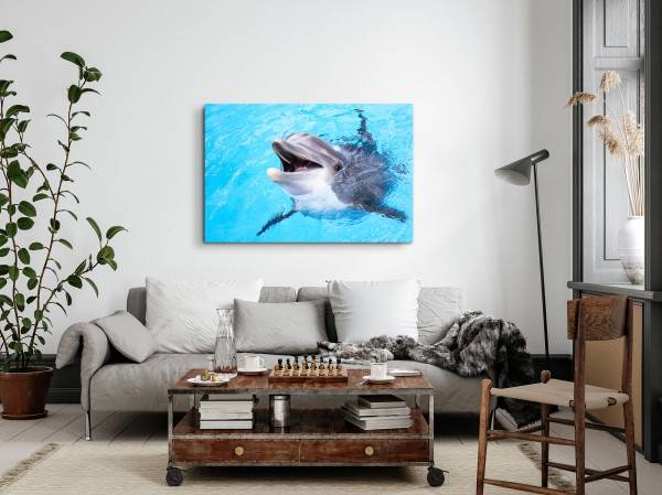 Paul Sinus Art 120x80cm Wandbild auf Leinwand Delfin Tierfotografie Blau Hellblau Meer Exklusive Angebote