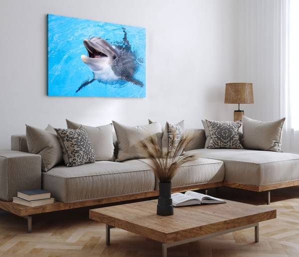 Paul Sinus Art 120x80cm Wandbild auf Leinwand Delfin Tierfotografie Blau Hellblau Meer Exklusive Angebote