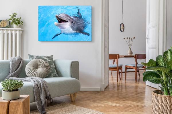 Paul Sinus Art 120x80cm Wandbild auf Leinwand Delfin Tierfotografie Blau Hellblau Meer Exklusive Angebote