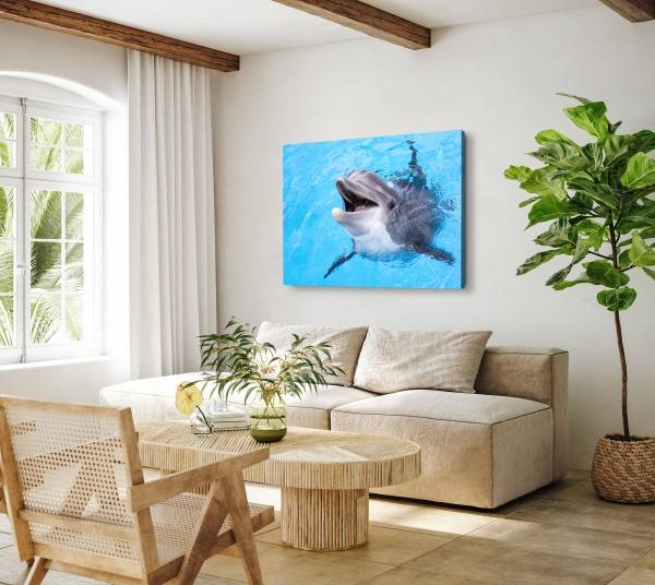 Paul Sinus Art 120x80cm Wandbild auf Leinwand Delfin Tierfotografie Blau Hellblau Meer Exklusive Angebote