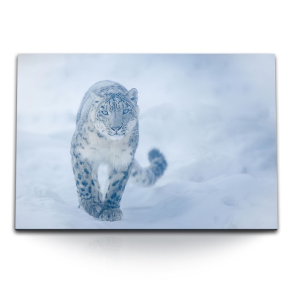 Paul Sinus Art 120x80cm Wandbild auf Leinwand Schneeleopard Raubkatze Schnee Winter Wildnis