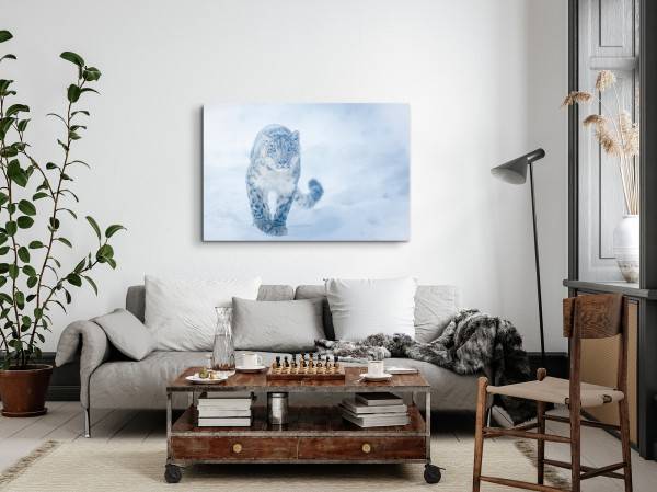 Paul Sinus Art 120x80cm Wandbild auf Leinwand Schneeleopard Raubkatze Schnee Winter Wildnis Blitzangebot