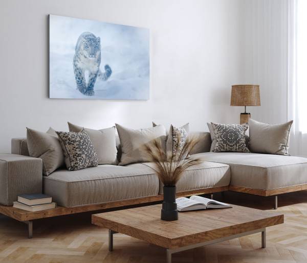 Paul Sinus Art 120x80cm Wandbild auf Leinwand Schneeleopard Raubkatze Schnee Winter Wildnis Blitzangebot